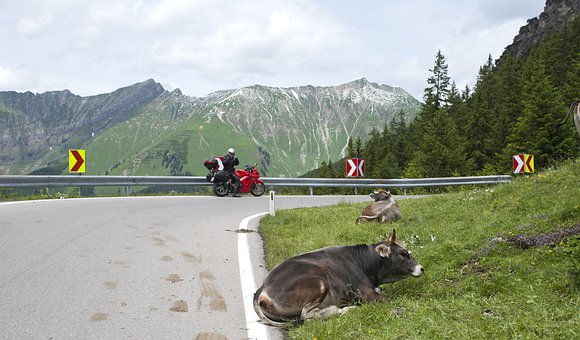 如何訓練孩子的邏輯思維能力