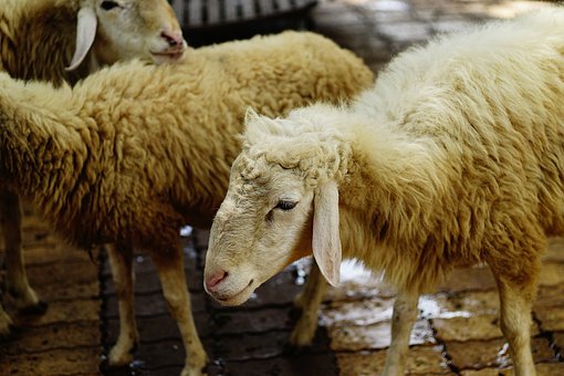 ��(zhu��n)��ָ��(d��o)���п����ĝM(m��n)�������