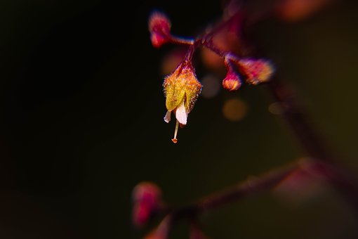 2010駐濟高校招生計劃發表