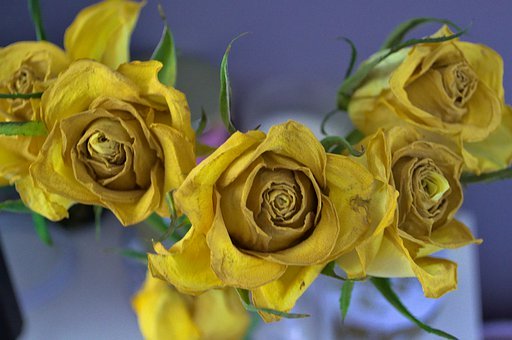 ˇ������m����ȫ���ȡ�֔�����?