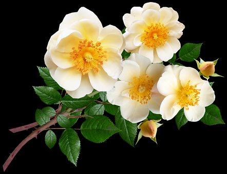 孩子初三不想上學(xué)怎么辦