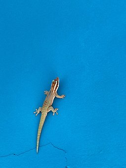 ��Ҫ���ǌW����������������h�x�֙C