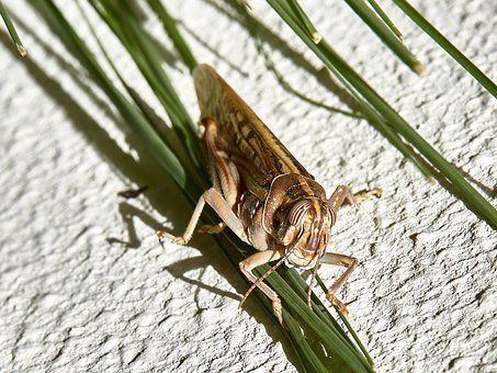 ��������غ������ഺ�ڵ�����