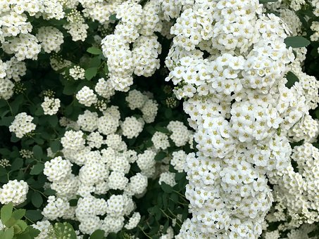 ���LƢ�Ⱪ����ŭ�����ӌ����I(y��)��Ӱ푼���Q����