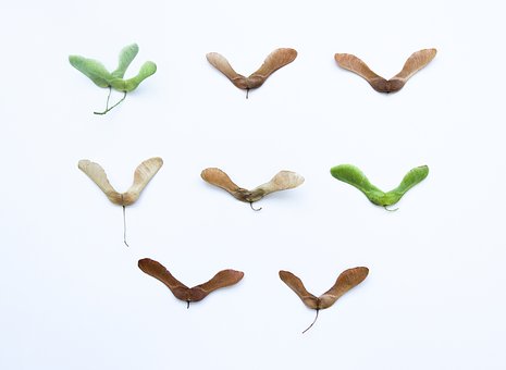 ������ô�����к���