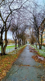 ��γC�����Ӆ��W����