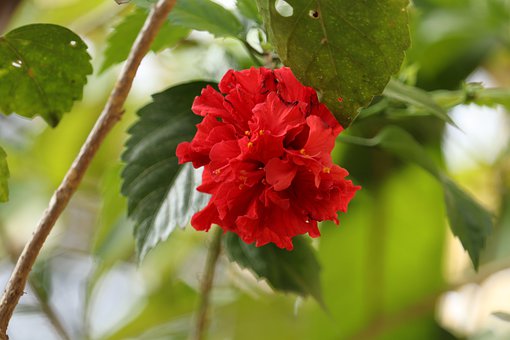 ���LҪ�����9�N������� ��Ҫ���˺���