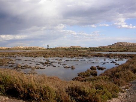 �����������У�ȱ�����źͰ�ȫ�е�ԭ�򼰽�Q����