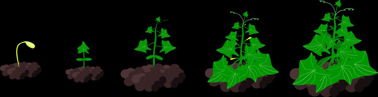 ����挦(du��)�����A�κ��ӵ���������