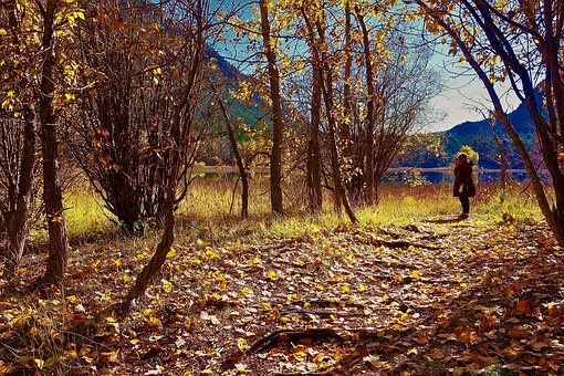 13�q����͵�|����ν���