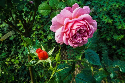 �ЌW��͵���֙Cԓ��ô����