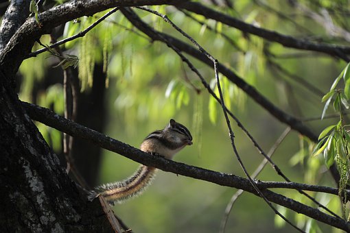 考研過后學(xué)生扎堆求職 大學(xué)生工資不敵農(nóng)民工