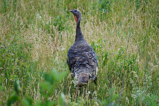 ��ԇǰ���Ӿo����ԓ��νo���ӽ≺