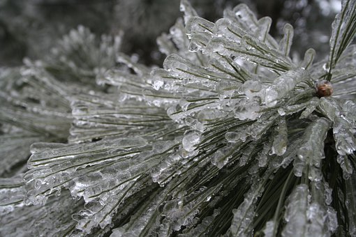 �Ą����Ů���ӌ������D����W���Ą���