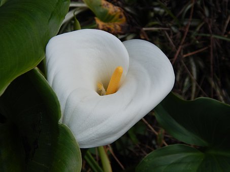 ���꼉�ĺ������n����������ô�k