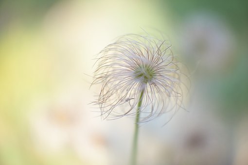 ����͵������X��ô����