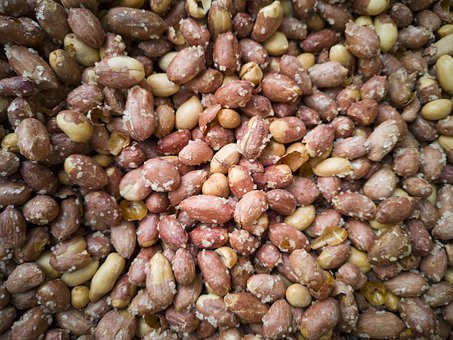 陪伴孩子完成作業:培養良好的學習習慣