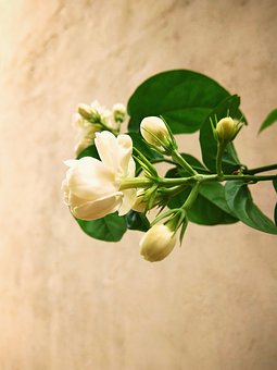 ��һ���Ӳ����όW��ô�k���L��ô̎��