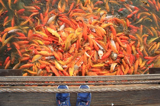 �������꼉������������ԓ����Ǻ���