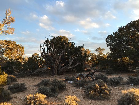 籃球訓練教學原則