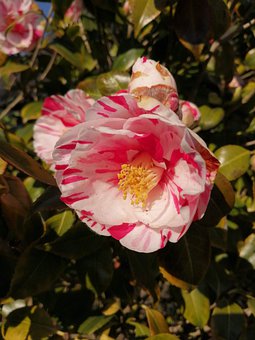 ��Ύ����������[Ó�֙C���Ե����_