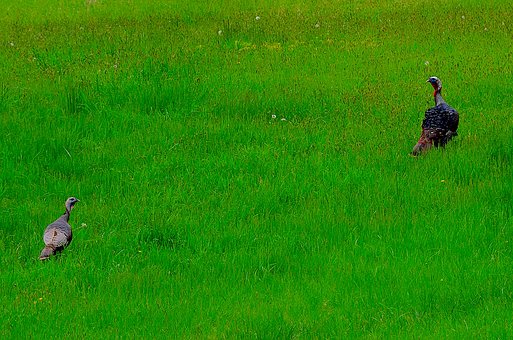 �W���߿���Ԫ�ļҽ̷���