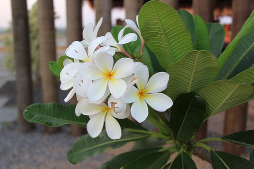 �ڽo����Ո�ҽ��o���У����L���ܮ�˦���ƹ񣬰���ʲô��ɫ�����������Ч�ʣ�