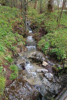 ���Ӟ�ʲô�ڌWУ Ԓ���ڼҲ� Ԓ