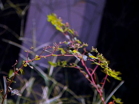 �ߚq���ӵ������ͽ���