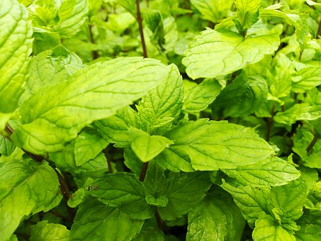 ���L���������������Ľ��h