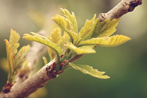 ���a���C�zӰ����