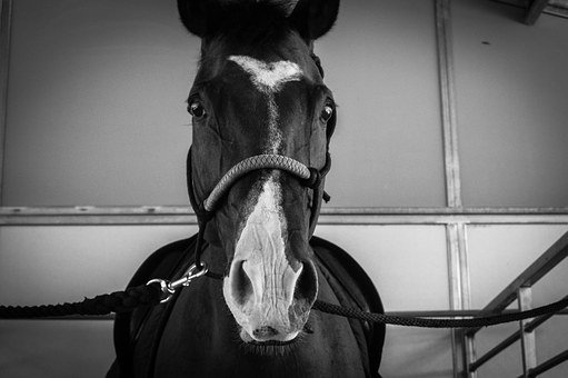 一年級孩子寫作業慢怎么辦