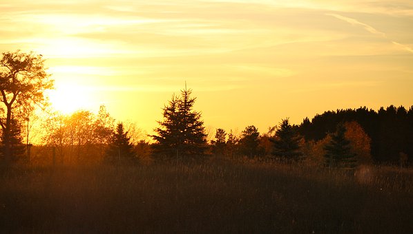 2009��߿�Ӣ�Z�_�̣�����߷�Ӣ�Z����ֻ���岽