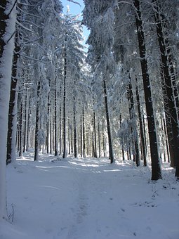 高中生和同學鬧矛盾不想上學