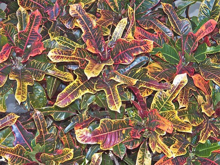 初二孩子老用手機(jī)查題對(duì)嗎