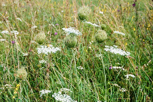 小學奧數能力培養最重要