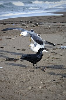 �ҽ̷��������ӳ��L�м��L��횷ŗ��Ľ����B��