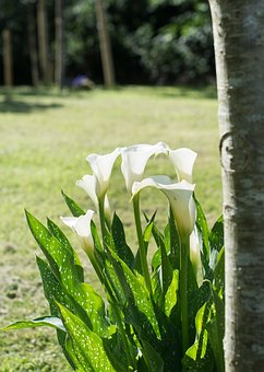 �����W(xu��)����߳ɿ��ķ���