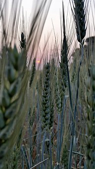 ���L��Ҫ�����J�R���ӣ��Pע��(n��i)������