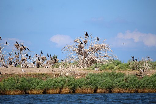 大學(xué)生家教該如何與家長(zhǎng)保持信任溝通?
