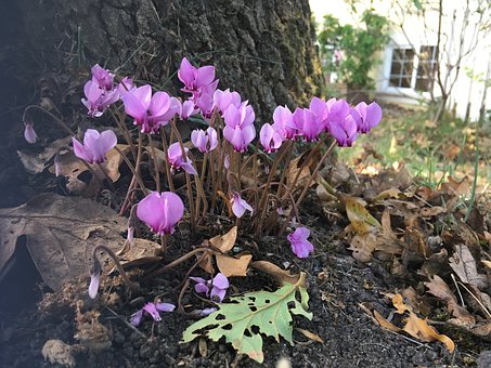 7歲小孩動不動就發脾氣是怎么回事