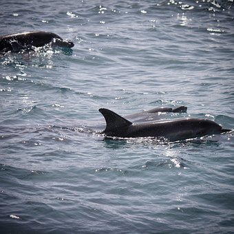 初中孩子被同學孤立怎么辦