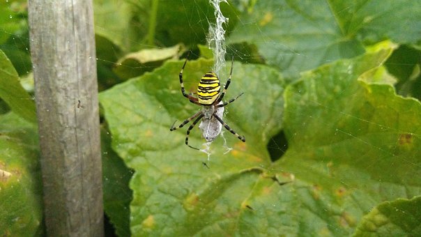 ���и㶨���ӵ�ĥ��