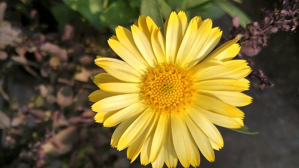 ��������ĺ��ӵķ��������������c���أ��ɞ�����������