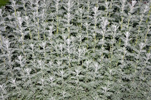 孩子叛逆不上學怎么辦十七歲