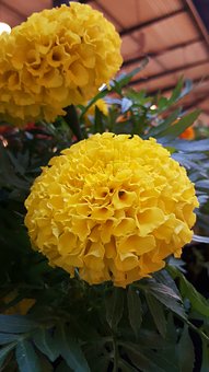 12�q���ӛ]�а�ȫ����ô�k