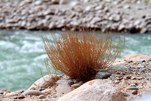 ���H������ô�����������к�