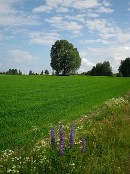 培養自信的孩子:父母的責任與技巧