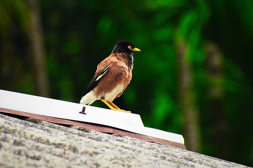 ����Ů�������治ȥ�x����ô�k