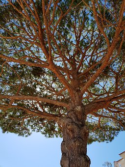 ���еĺ����cͬ�W(xu��)��̎������ô�k